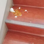 レス6番の画像2