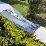 レス16番の画像7