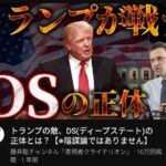 レス1番の画像2