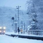 レス38番の画像3