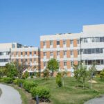 レス29番の画像4