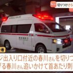 レス1番のリンク先のサムネイル画像