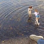 レス63番の画像1