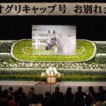 レス55番の画像2