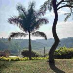 レス16番の画像5