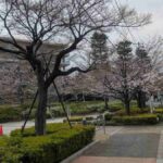 レス36番の画像4