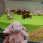 レス3番の画像5