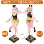 レス22番の画像1