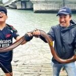 レス6番の画像1