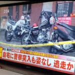 レス1番の画像2