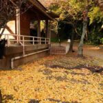 レス23番の画像2