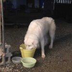 レス1番の画像4