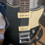 レス22番の画像1