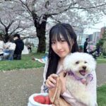 レス7番の画像4