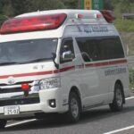 レス2番の画像11