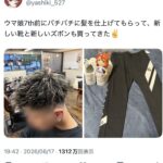 レス11番の画像1