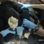 レス1番のリンク先のサムネイル画像