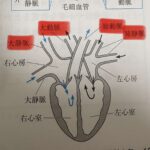 レス94番の画像1