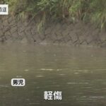 レス35番の画像3