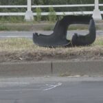 レス3番の画像4