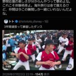 レス2番の画像2