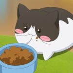 レス2番の画像2