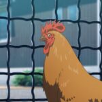 レス4番の画像4