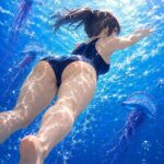 レス14番の画像1
