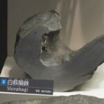 レス2番の画像5