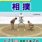 レス12番の画像1