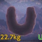 レス1番の画像4