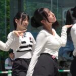 レス23番の画像1
