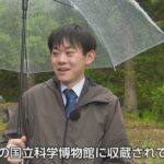レス2番の画像4