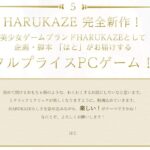レス29番の画像1